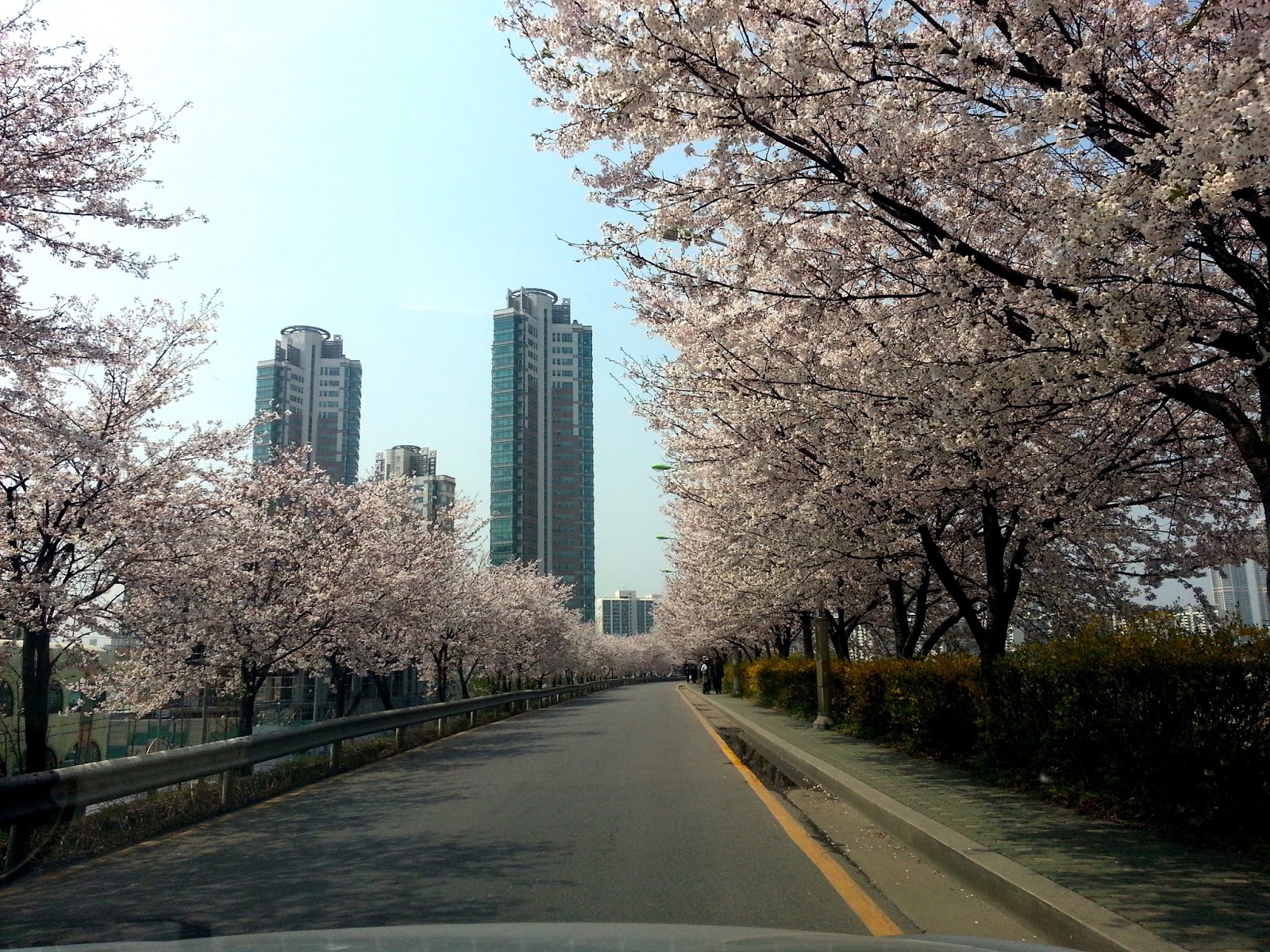 Сеул весной