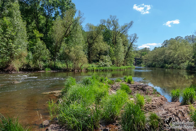 The river Nahe