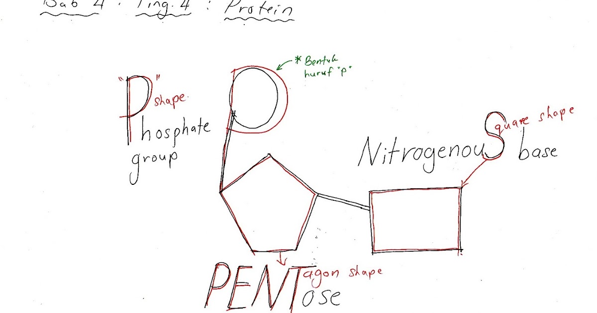 Nota Biologi Tingkatan 4 Bab 5  Download & view latihan topikal