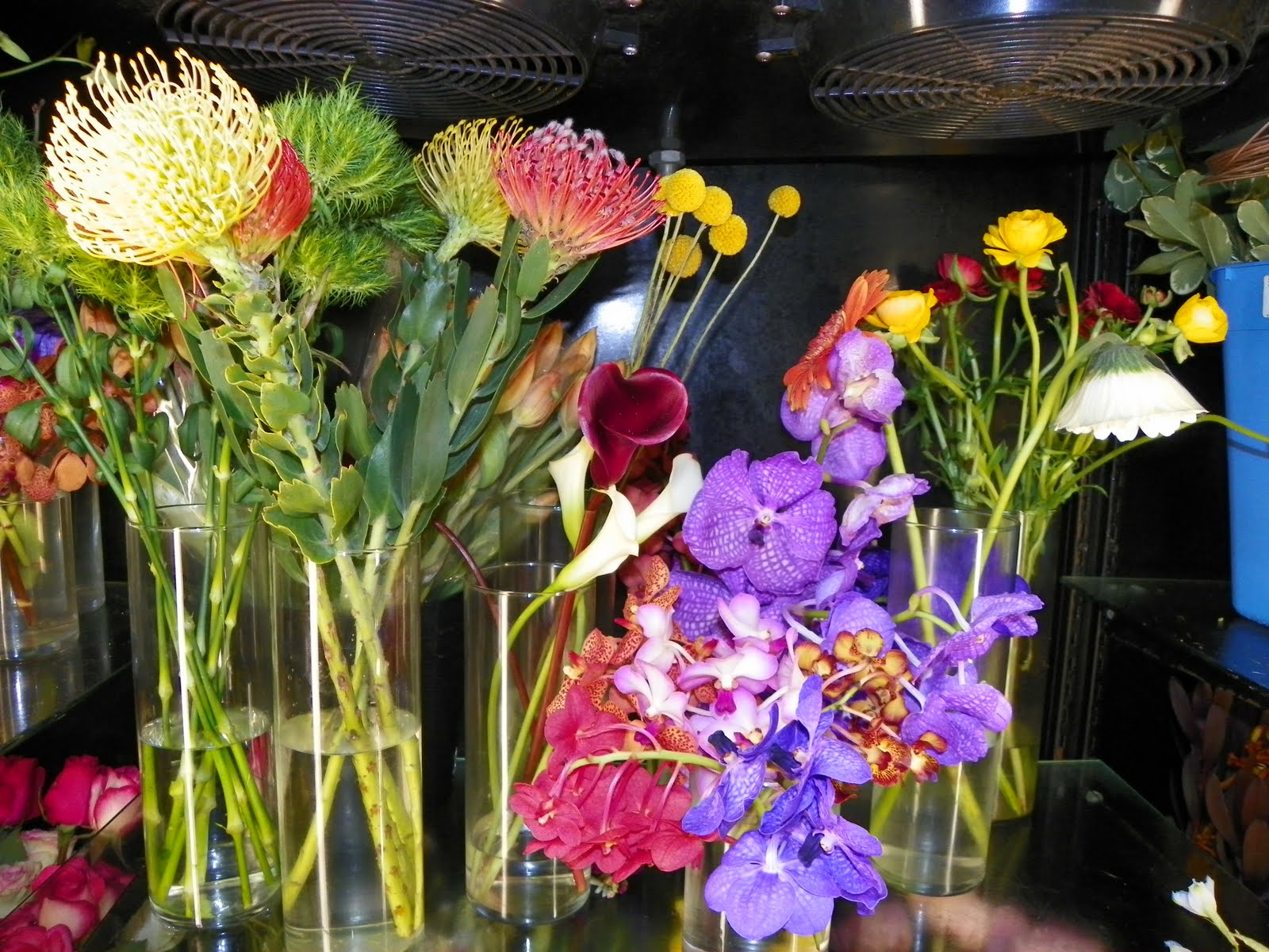 Apple Blossoms Floral Design & Gifts Tampa Florist and Unusual Flowers