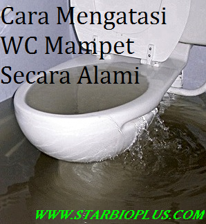 Cara Mengatasi WC Mampet Secara Alami | agen sedot wc