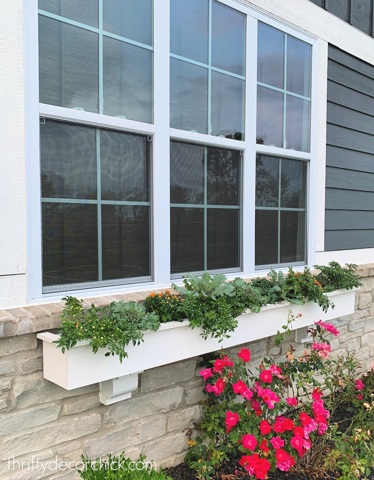 Early fall window box ideas