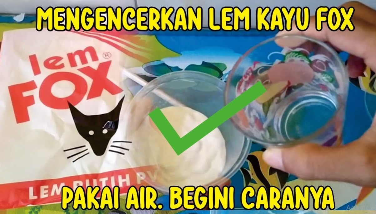 Cara Mengencerkan Lem Kayu Fox Putih Yang Benar Anakkos Com Kehidupan Anak Kos Hari Ini