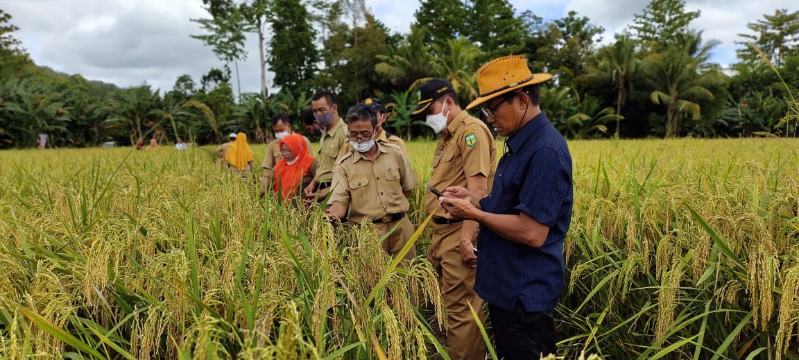 Distan Kawal Program Agrowisata Latimojong - HNM Indonesia