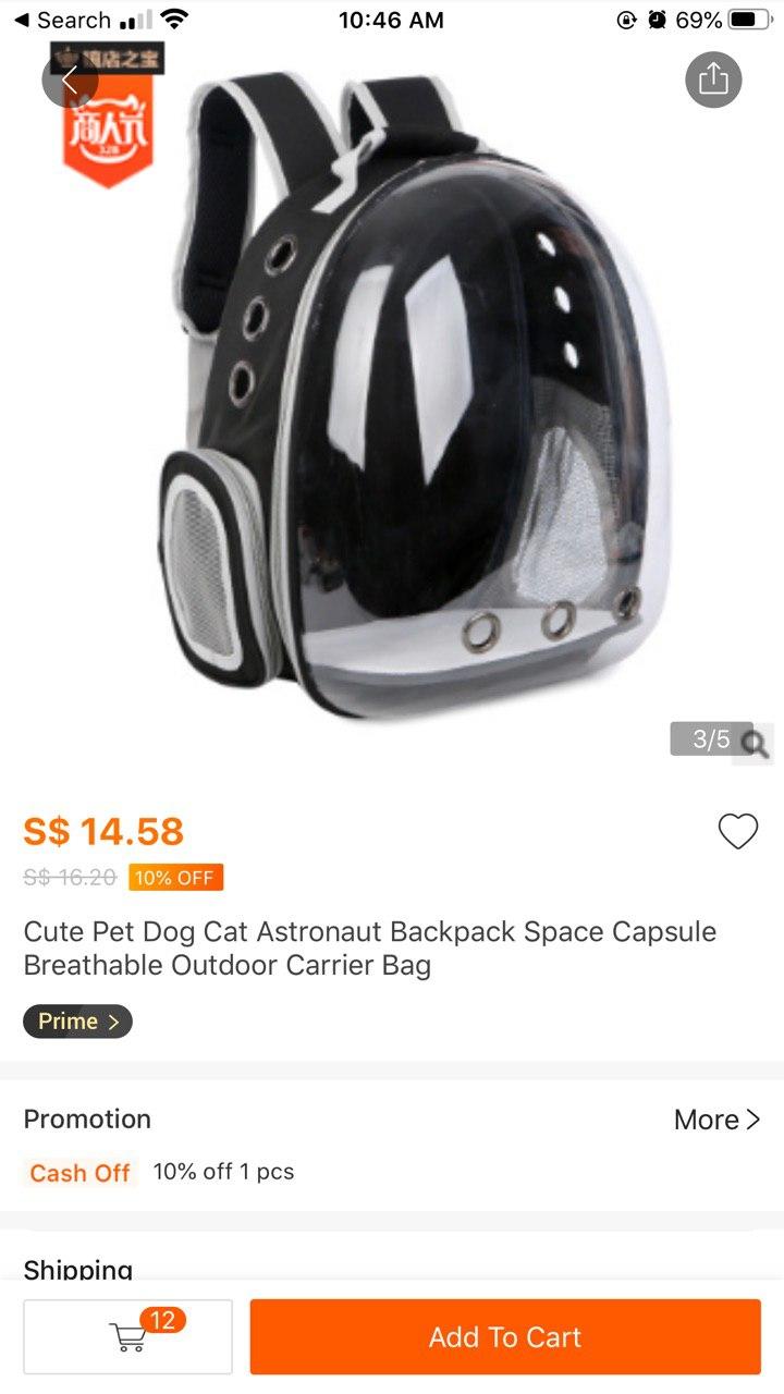 Choosing a Pet Stroller for My Guinea Pigs Monice