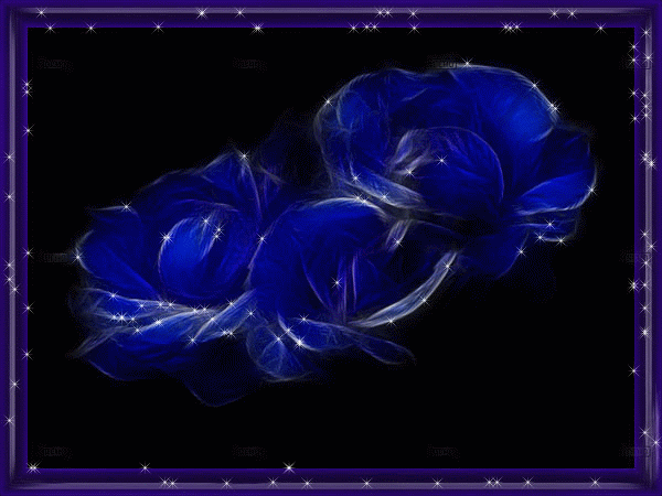 71477f07.gif