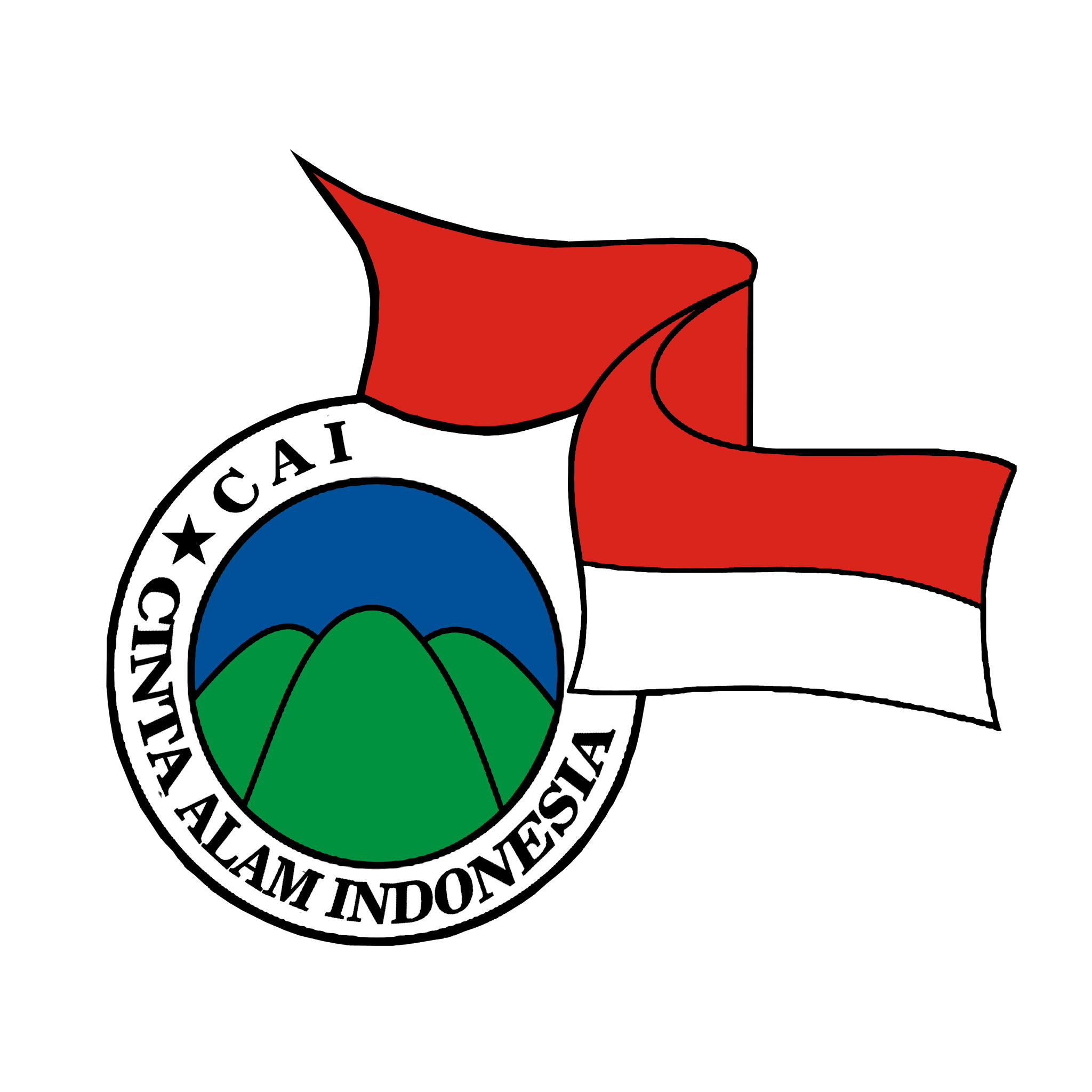 logo cai