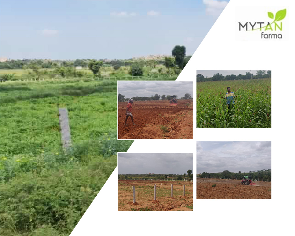 Best Agro Farm Land Company in Bangalore Want To Invest Your Money On