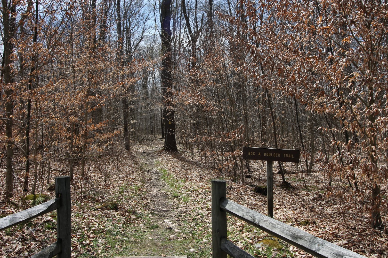 Gallitzin State Forest Recreation Guide Awesome Hiking, Views, and