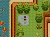 Pokemon Floral Tempus Screenshot 14