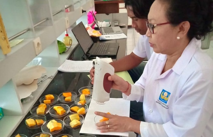 Ecogel Lidah Buaya Bisa Mempertahankan Kualitas Buah Potong Segar