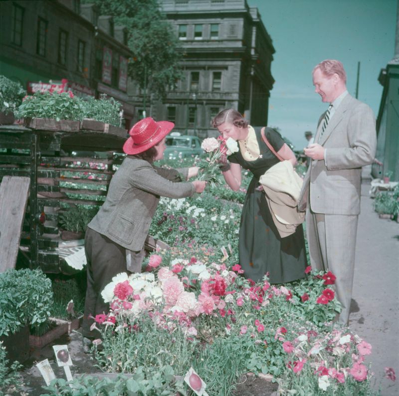 Old Photos from Montreal 1950s