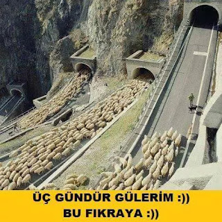 Resim