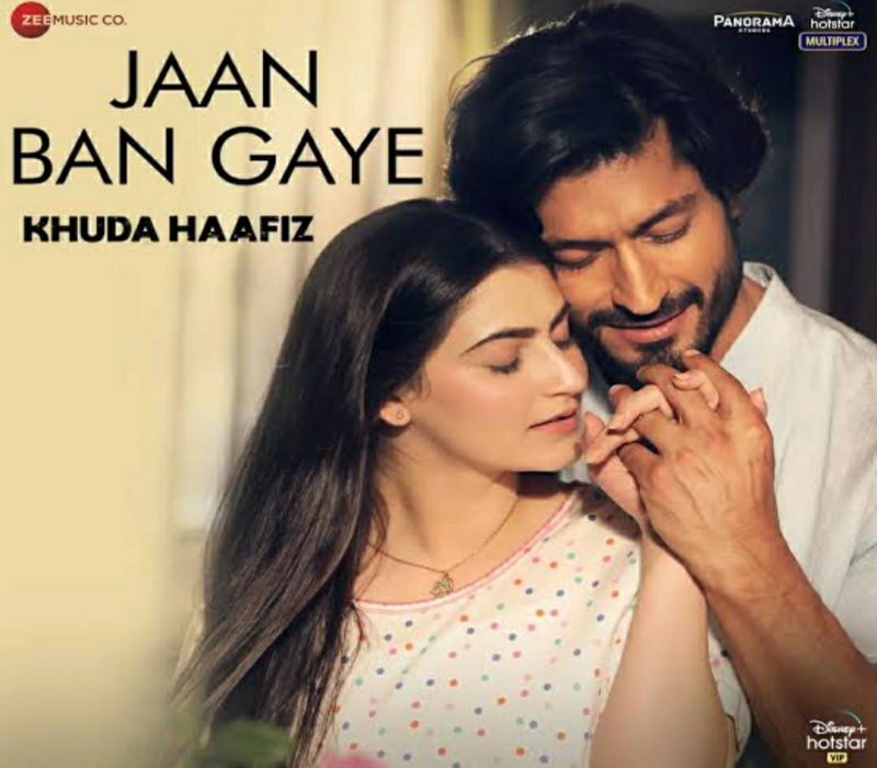 Jaan Ban Gaye Lyrics Translation | Khuda Haafiz | Vidyut Jammwal