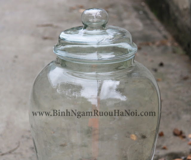 Binh thuy tinh nap day 40 lit dang sam