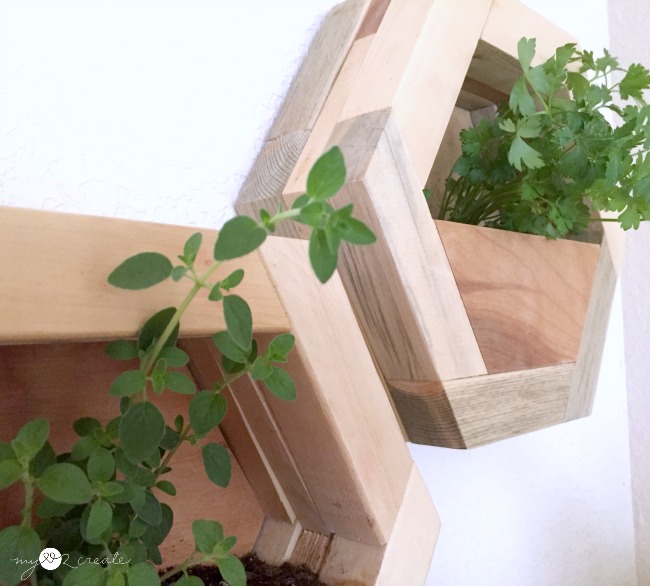 DIY Hexagon Planters My Love 2 Create