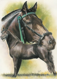 arte-realista-pinturas-de-equinos pinturas-realistas-caballos-arte