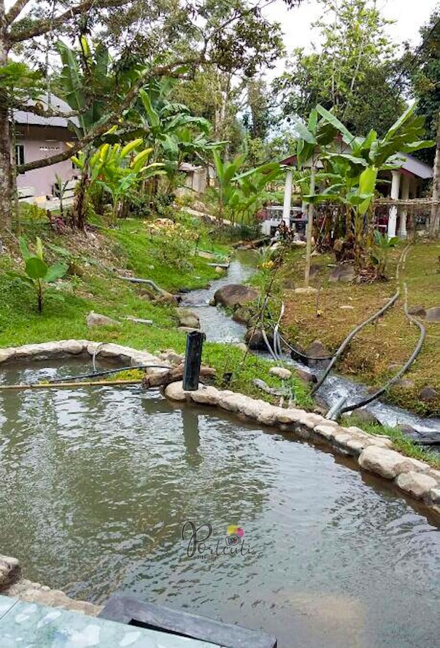 Homestay Cantik Depan Sungai  Kawasan  Kampung  Janda Baik 