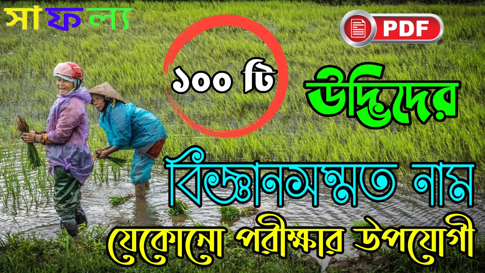 List Of Scientific list-of-scientific