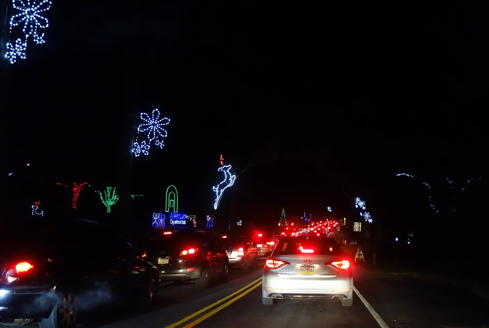 The Wiccan Life Lights in the Parkway Allentown, PA