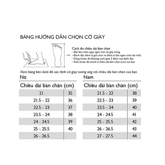 XĂNG ĐAN NỮ THIẾT KẾ NĂM QUAI NGANG NĂM MÀU SD BQ046 26 sm 008492732501 1643168003175