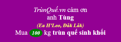 Trùn quế huyện Ea Hleo