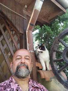 "Selfie" with the Cafe cat at Bulgarian/Macedonia border.