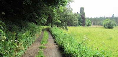 Walks around Ballater, near the Bridge of Muick