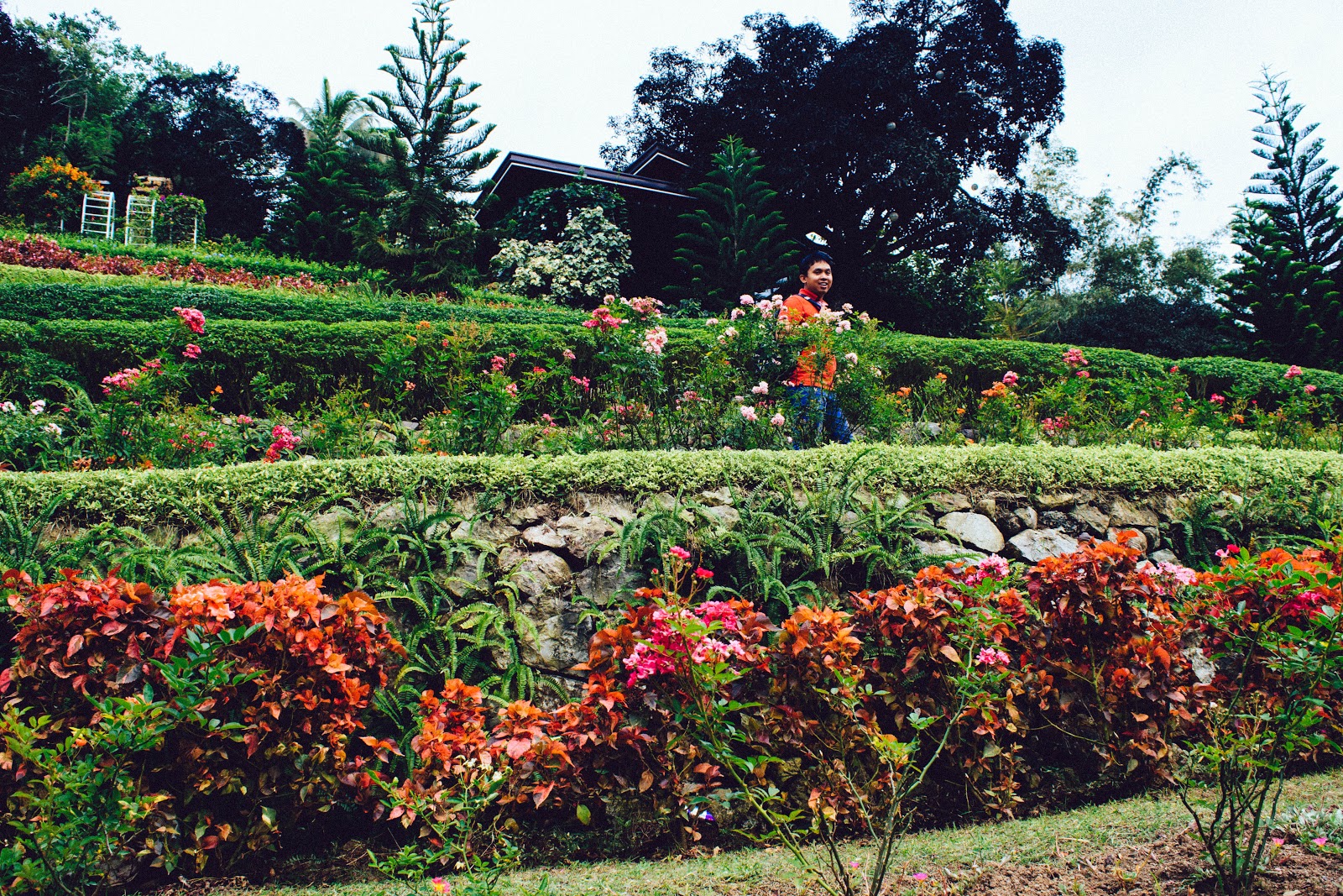 Aboutahniething Terrazas De Flores Botanical Garden