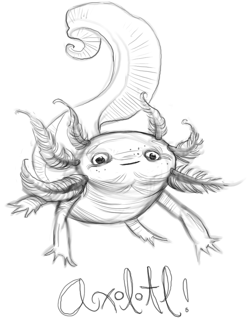 Mega Sketchies Axolotl 