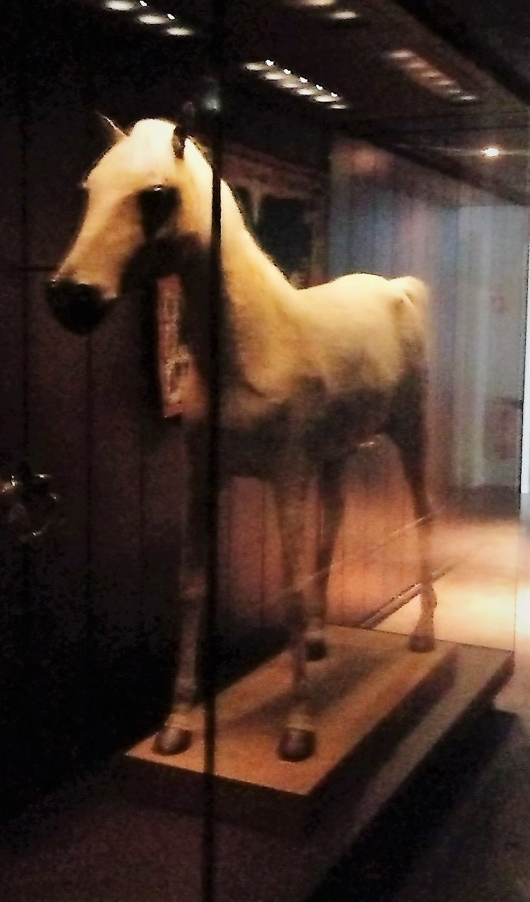 O cavalo branco de Napoleão