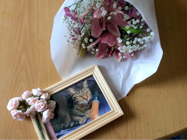 ブログ主の猫の写真と特注の小さな花束