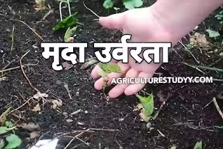 मृदा उर्वरता (मिट्टी की उर्वरता) क्या है, मृदा उर्वरता को प्रभावित करने वाले कारक, soil fertility in hindi, उपजाऊ मृदा (Fertile Soil in hindi) क्या है