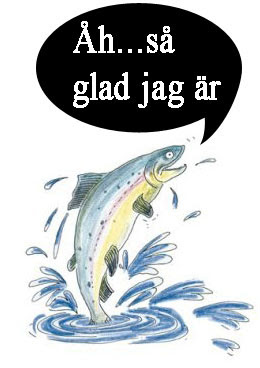 Bilderesultat for glad laks