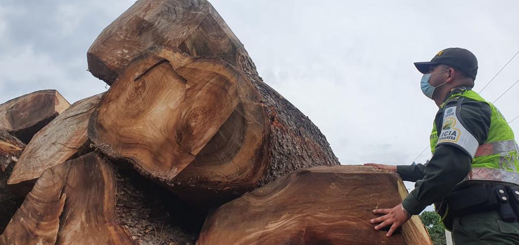https://www.notasrosas.com/ Polfa, Ejército y Dian incautan madera avaluada en más de 200 millones de pesos, en vías aledañas a Bosconia - Cesar
