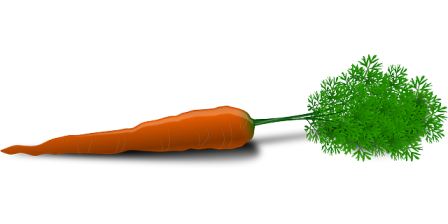 Carrot dalam bahasa arab
