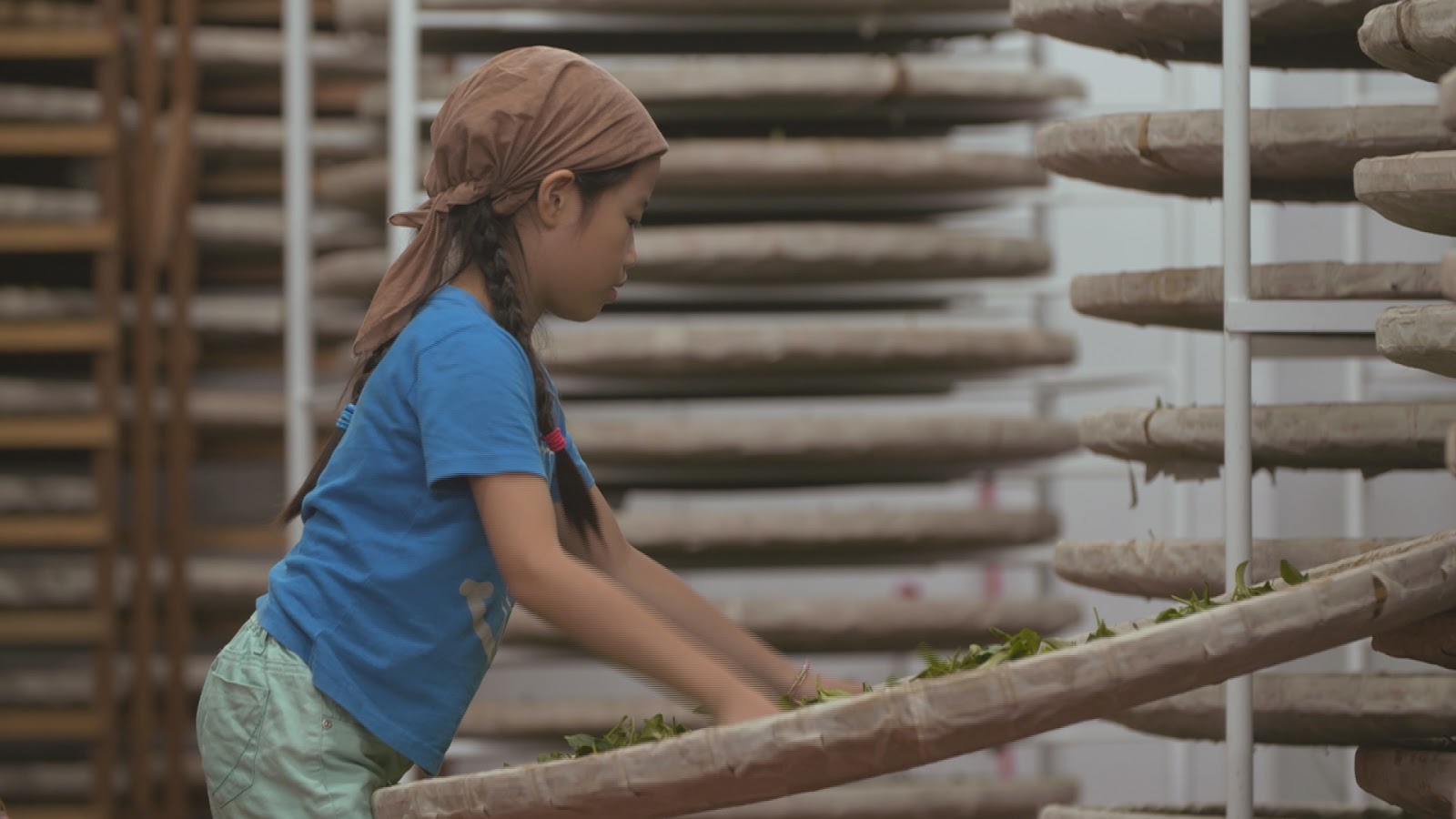 Tea Happiness A blog on tea drinking, tea history, tea industry