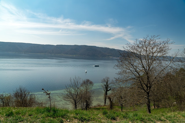 Wandern Konstanz Bodensee SeeGang Etappe 3 - Riedwiesen und Steiluferlandschaften am Überlinger See: Von Bodman durchs Aachried nach Ludwigshafen und auf dem Blütenweg nach Sipplingen 12