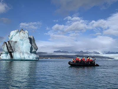 A la deriva: la morsa que se quedó dormida en un iceberg y ahora