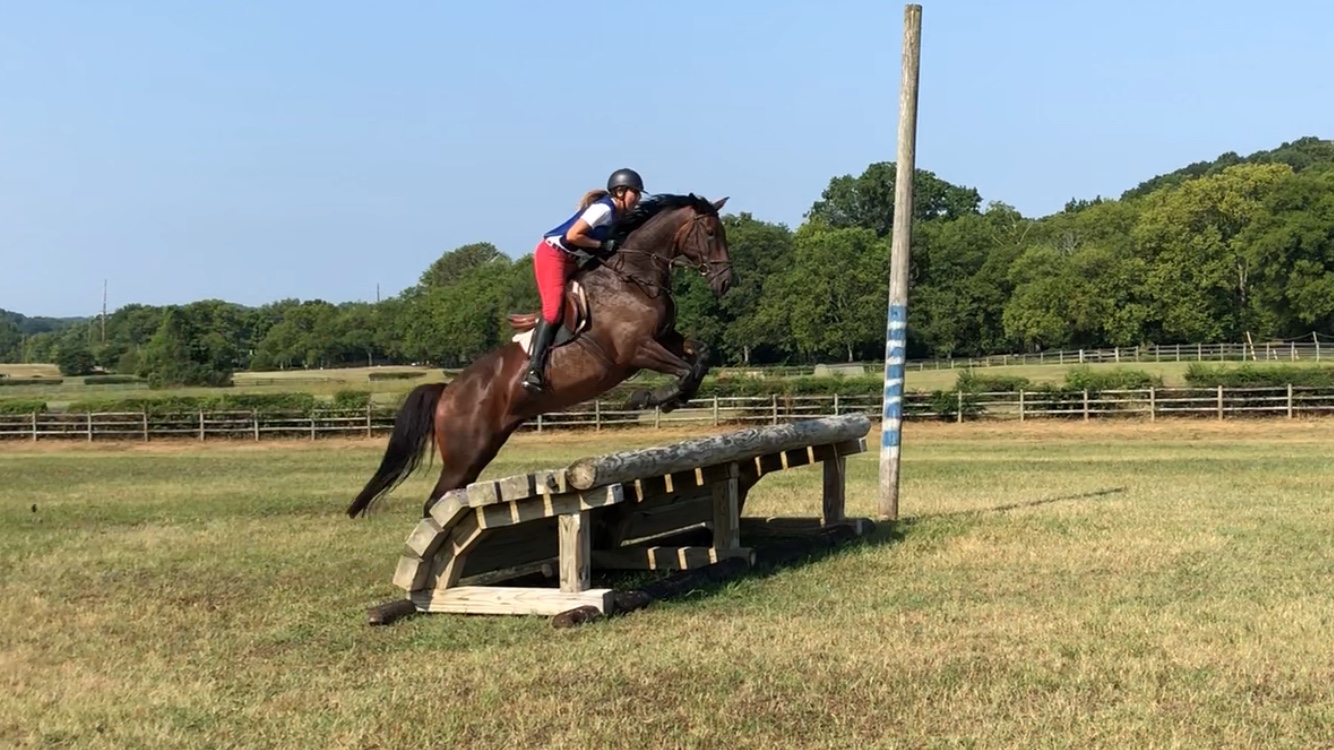 JUMPING DRESSAGE EVENTING