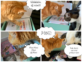 What's In The Box ©BionicBasil® Gus & Bella Santa Paws Box Opening The Box with Fudge and Melvyn