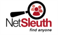 netsleuth logotipo