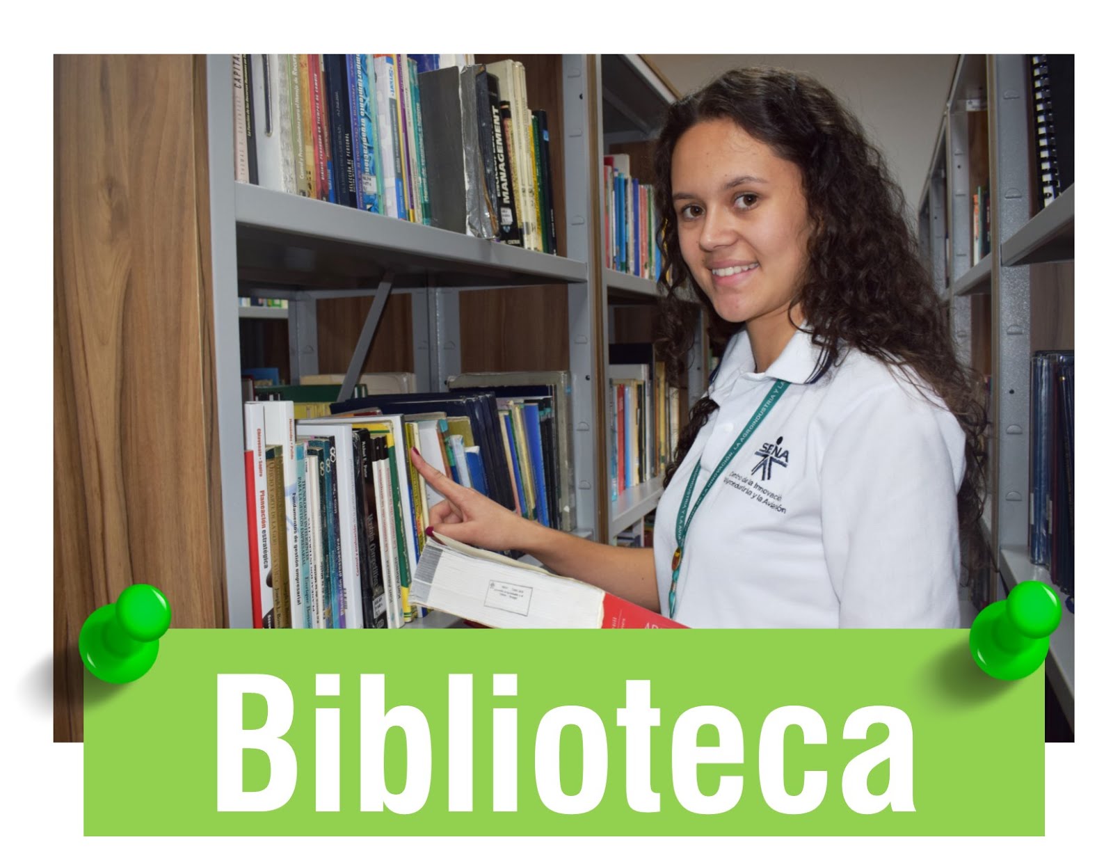 Sistema de Bibliotecas