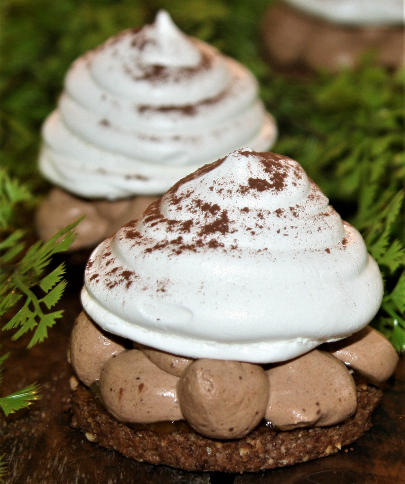 SAPINS MERINGUES AU CHOCOLAT