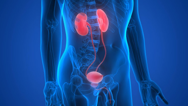 How Do You Diagnose Kidney Cancer