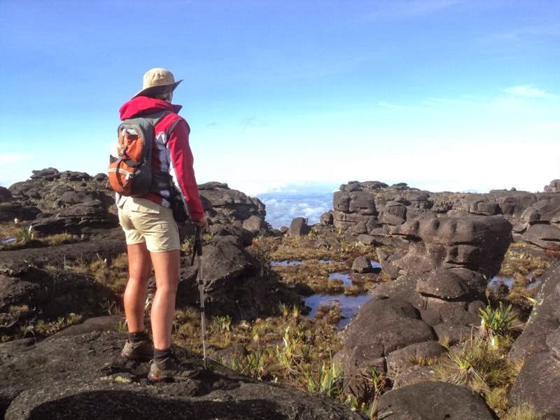 En La Cima Rosa Westermeyer Tepuy Roraima 2810 msnm
