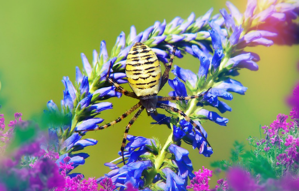 PTK BIOLOGI SMA KURIKULUM 2013 PDF METODE PEMBELAJARAN