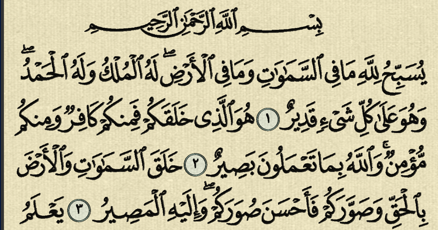 شرح وتفسير سورة التغابن surah at taghabun معاني الأسماء ومعاني الكلمات وتفسير القرآن الكريم