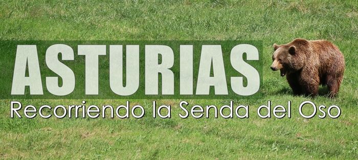 Senda-del-Oso-Asturias-Turismo