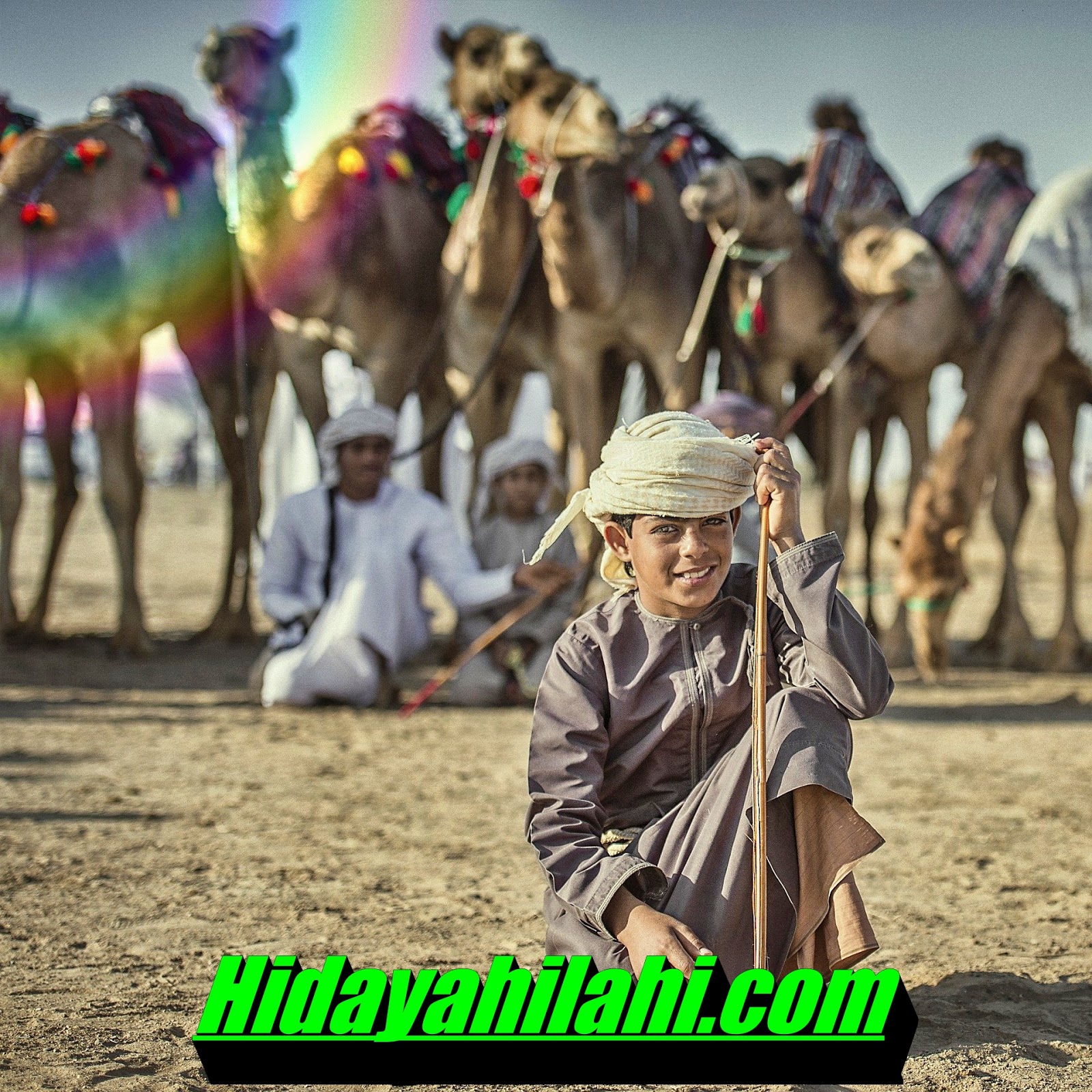 дитя верблюда. дитя верблюда. маленький верблюд. одногорбый верблюд. детёныш верблюда.